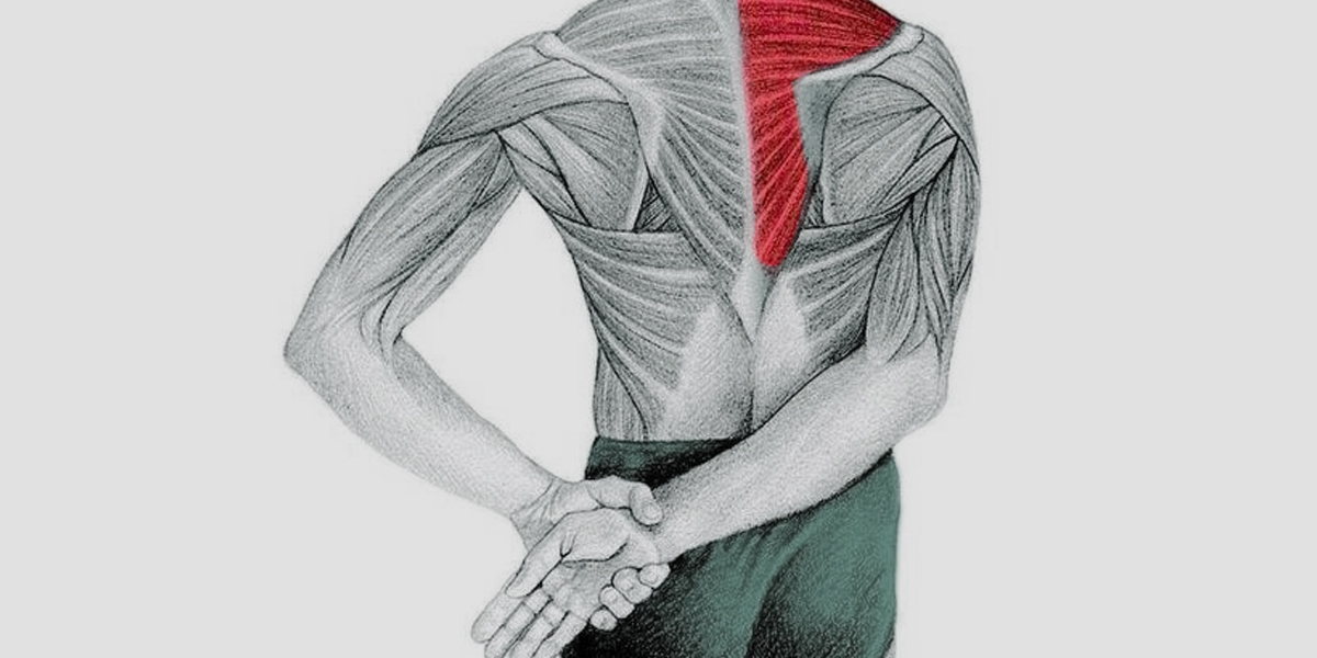 ¿Qué son los nudos musculares y cómo aliviarlos?